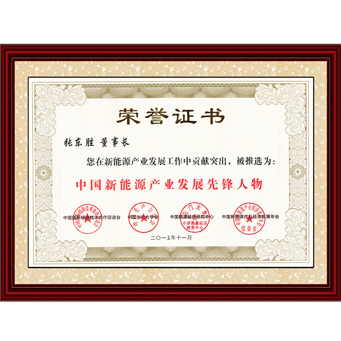 2015中國(guó)新能源產(chǎn)業(yè)發(fā)展先鋒人物
